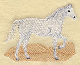 Arabian Horse II