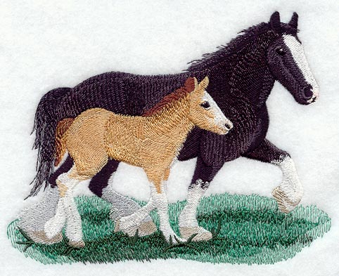 Clydesdale Pair