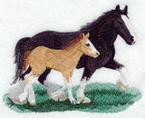 Clydesdale Pair