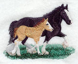 Clydesdale Pair