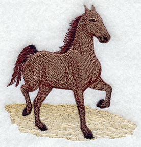 Saddlebred Horse