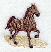 Saddlebred Horse