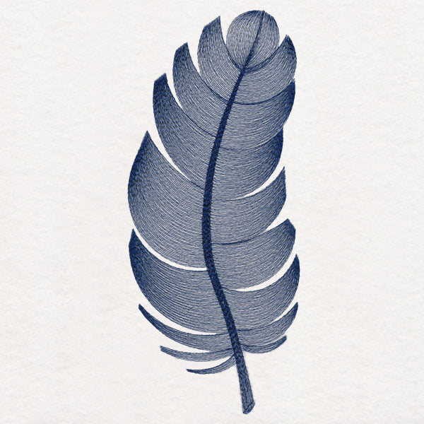 Elegant Etching Feather