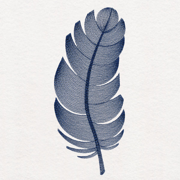 Elegant Etching Feather