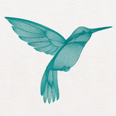 Elegant Etching Hummingbird