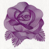 Elegant Etching Rose
