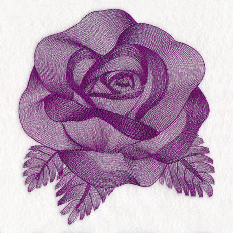 Elegant Etching Rose