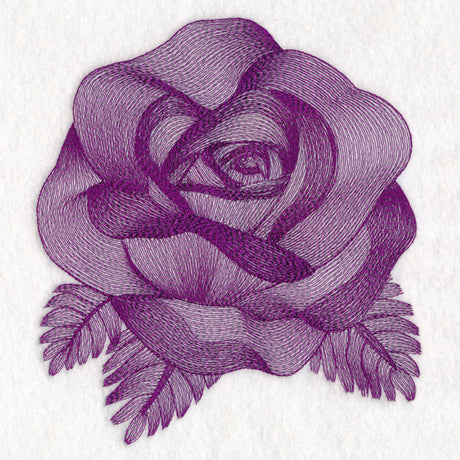 Elegant Etching Rose