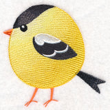 Roly-Poly Goldfinch