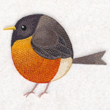 Roly-Poly Robin