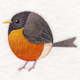 Roly-Poly Robin
