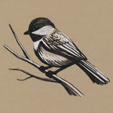 Midtone Chickadee Sketch