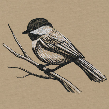 Midtone Chickadee Sketch