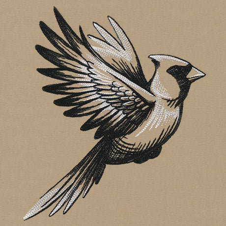 Midtone Cardinal Sketch