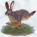 Jackrabbit - Running