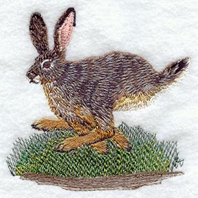 Jackrabbit - Running