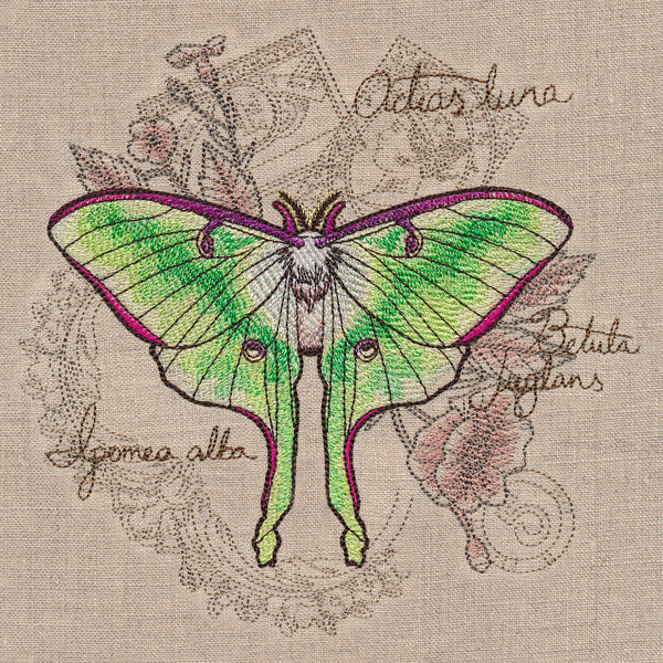 Luna Moth Collage