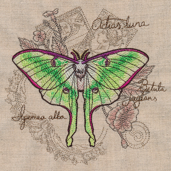 Luna Moth Collage