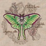 Luna Moth Collage