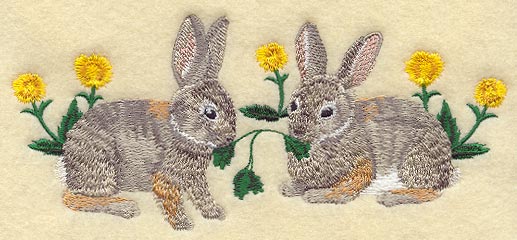 Cottontail Rabbit Pair