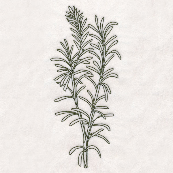 Botanical Treasures - Rosemary (Vintage)