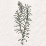 Botanical Treasures - Rosemary (Vintage)