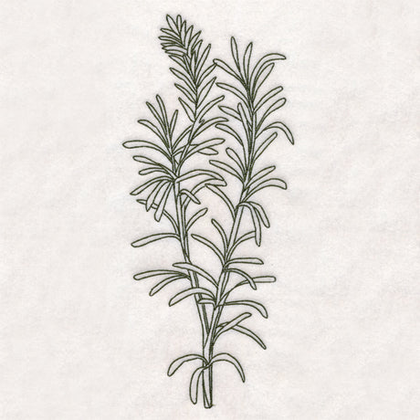 Botanical Treasures - Rosemary (Vintage)