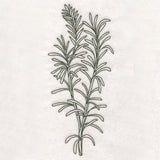 Botanical Treasures - Rosemary (Vintage)