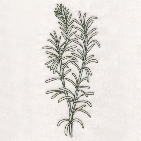 Botanical Treasures - Rosemary (Vintage)