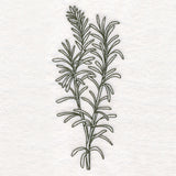 Botanical Treasures - Rosemary (Vintage)
