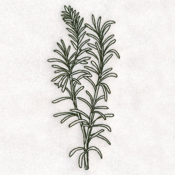 Botanical Treasures - Rosemary (Vintage)