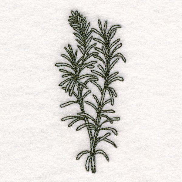 Botanical Treasures - Rosemary (Vintage)