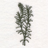 Botanical Treasures - Rosemary (Vintage)