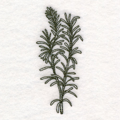 Botanical Treasures - Rosemary (Vintage)