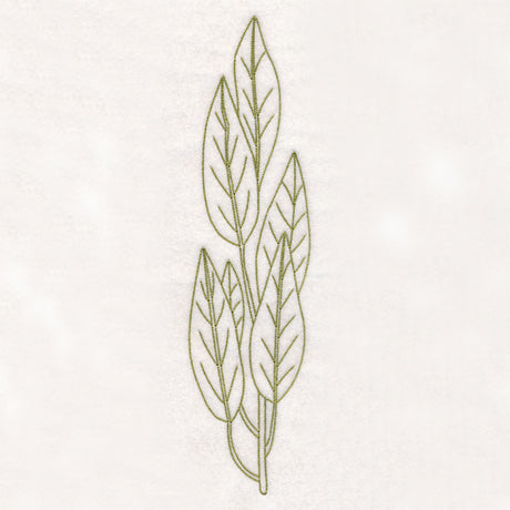Botanical Treasures - Bay Leaves (Vintage)
