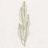 Botanical Treasures - Bay Leaves (Vintage)