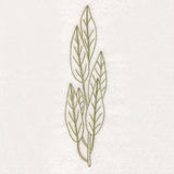 Botanical Treasures - Bay Leaves (Vintage)