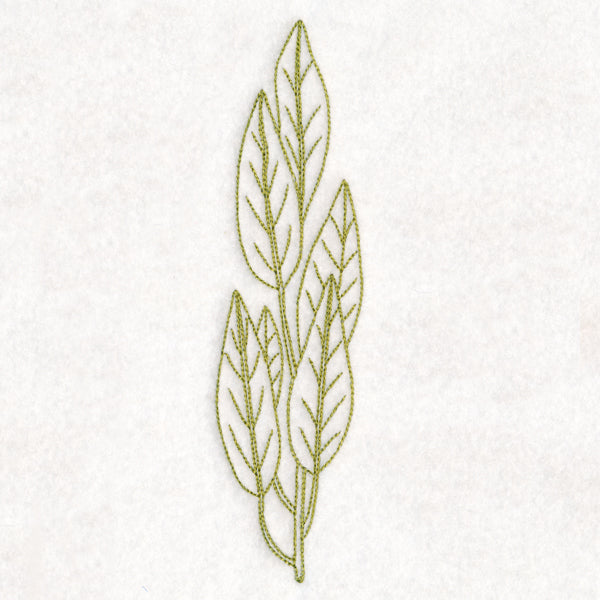 Botanical Treasures - Bay Leaves (Vintage)