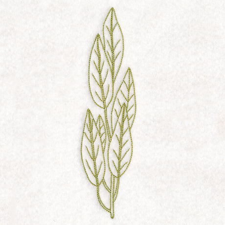 Botanical Treasures - Bay Leaves (Vintage)