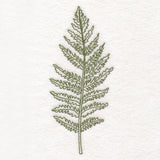 Botanical Treasures - Fern (Vintage)