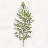 Botanical Treasures - Fern (Vintage)