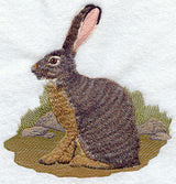Jackrabbit