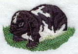 Lop-Eared Rabbit