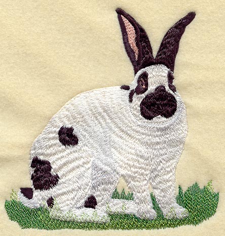 Checkered Giant Rabbit