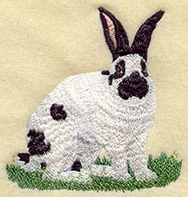 Checkered Giant Rabbit