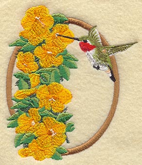 Ruby Throated Hummingbird & Trumpet Vine