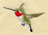 Ruby Throated Hummingbird
