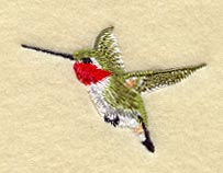 Ruby Throated Hummingbird