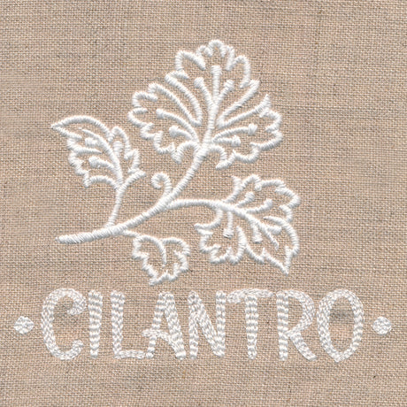 Rustic Cilantro Accent