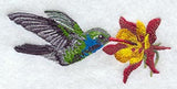 Broad Billed Hummingbird & Columbine
